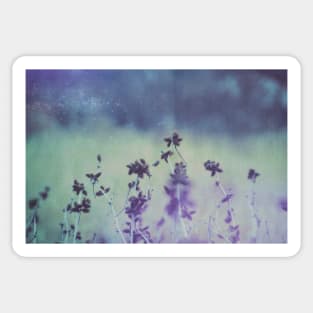 Bramble In Blue And Purple Nature Photograph Sticker